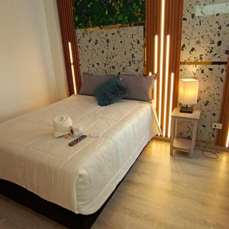 Yanahuara HOTEL PLAZA - Habitación Individual Deluxe - 3