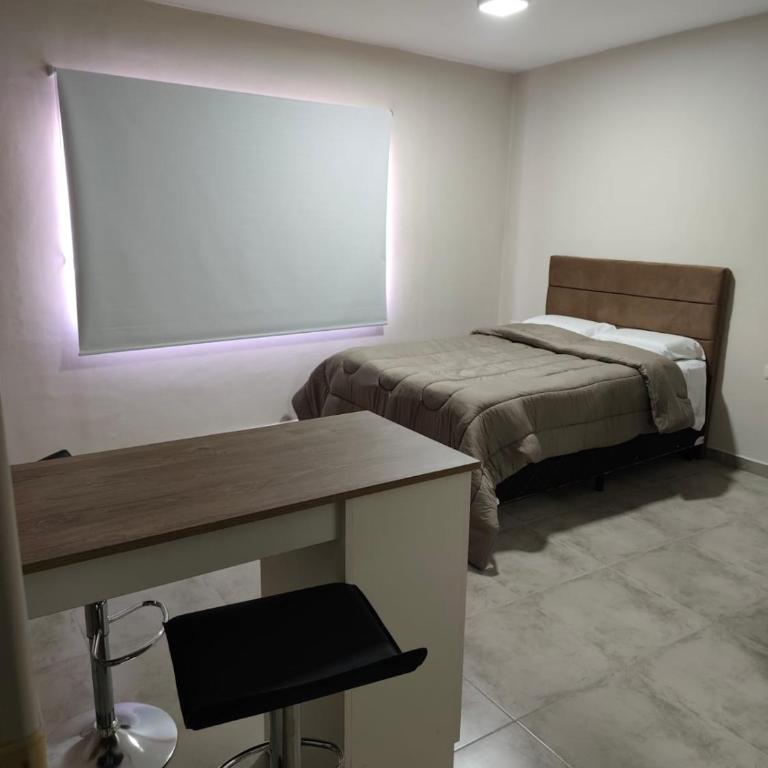 Departamento Centrico Santiago piso 1 Y 2 - Apartamento Deluxe - 14