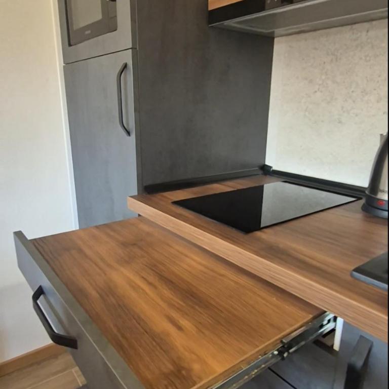 Talija Apartman Zlatibor - Apartman sa 1 Spavaćom Sobom - 8