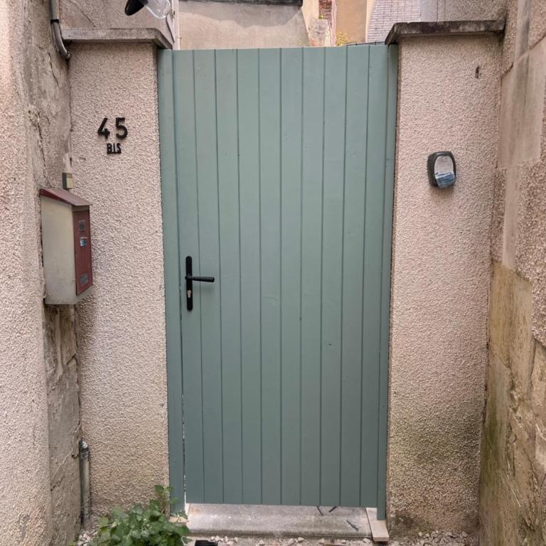 Maison d Albertine, charme, jardin, hyper centre - Maison 3 Chambres - 2