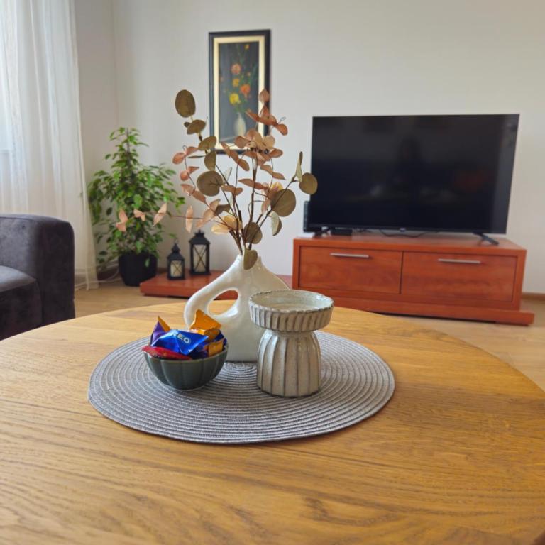 Vibe & Vista Sarajevo, Skenderija - Apartman - 6