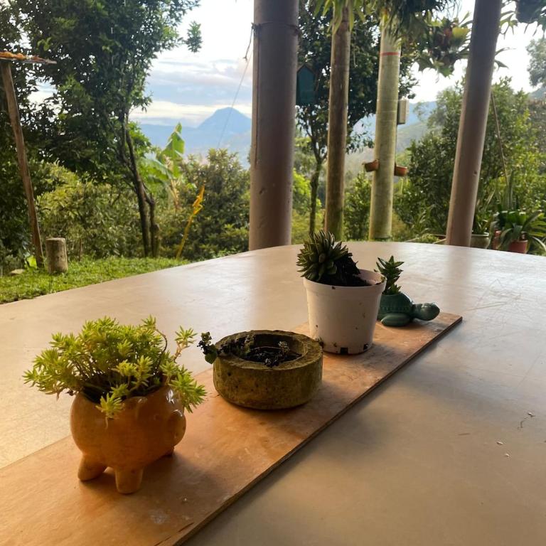 Casa de Campo Cerca a Medellín - Casa - 19
