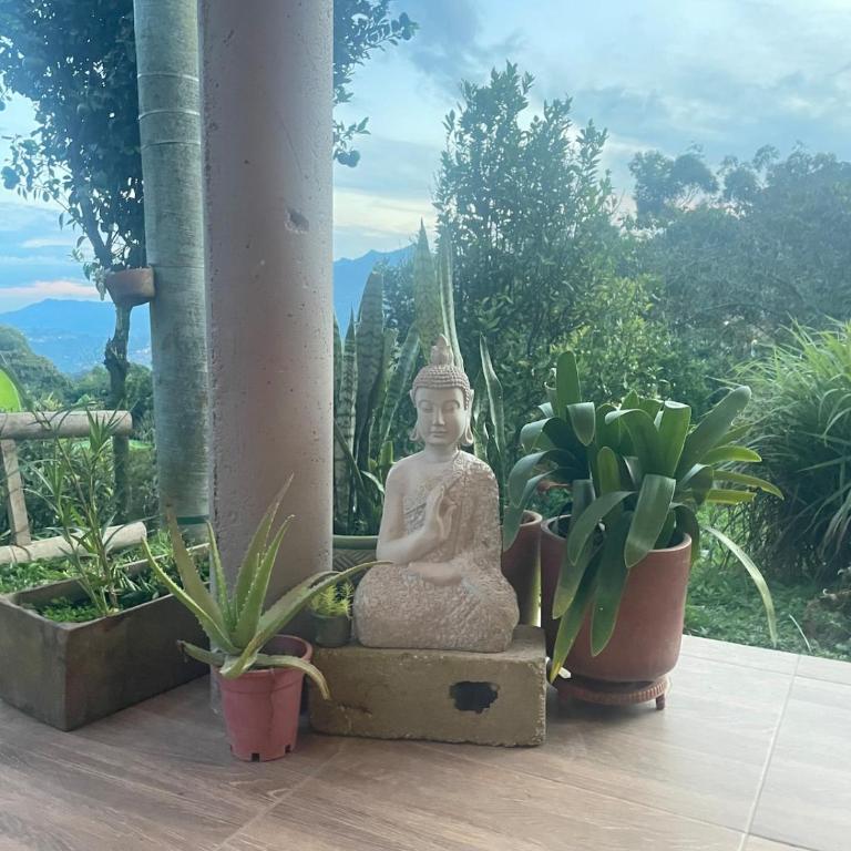 Casa de Campo Cerca a Medellín - Casa - 22