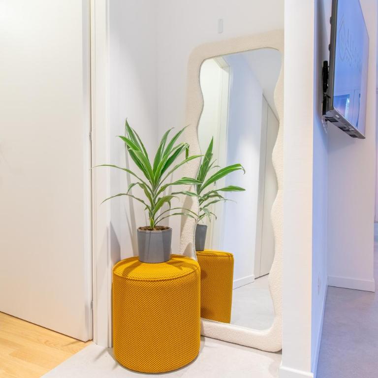 Olgiati Twelve - 3 Charming Bedrooms and Gym - Appartamento con 3 Camere da Letto - 8