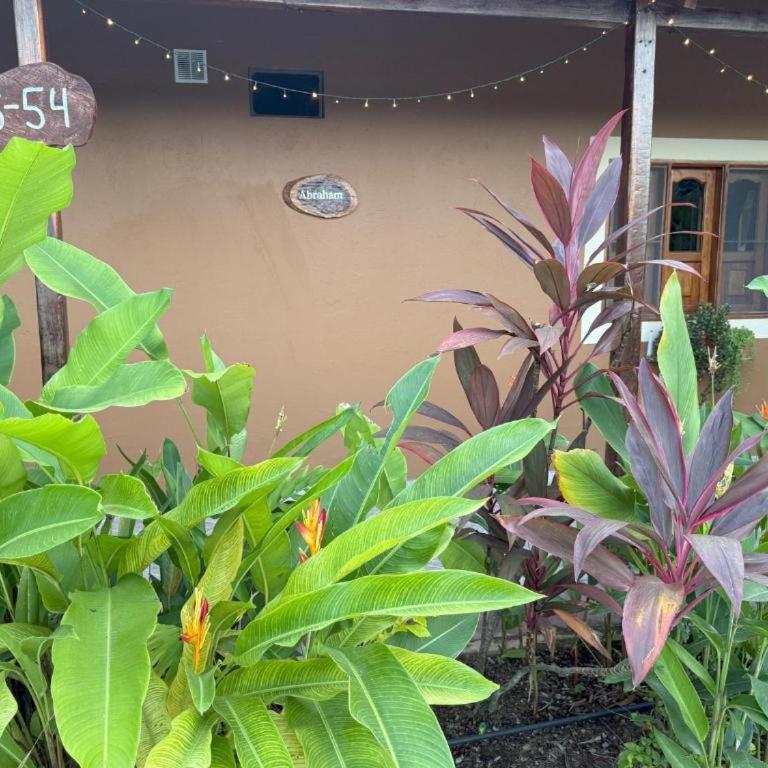 Promisedland Tayrona Cabins Hotel - Villa con vistas al jardín - 7