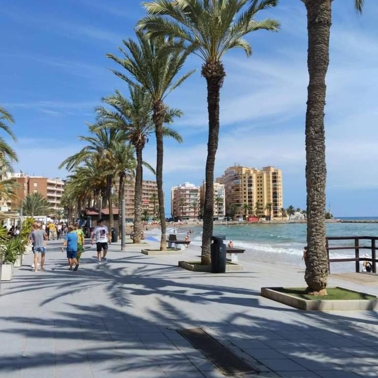 Sol y mar - Apartamento de 2 dormitorios - 16