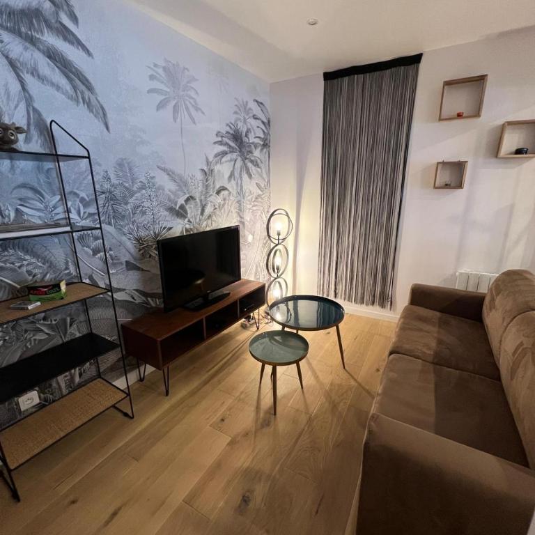 Le 49 Carnot Plein cœur de Poitiers - Appartement 2 Chambres - 3