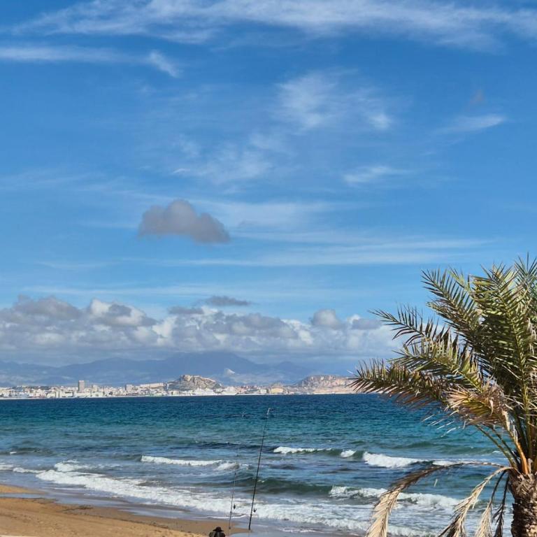 Apartamento Arenales TORRE AZAFATA 1 - Apartamento de 2 dormitorios - 22