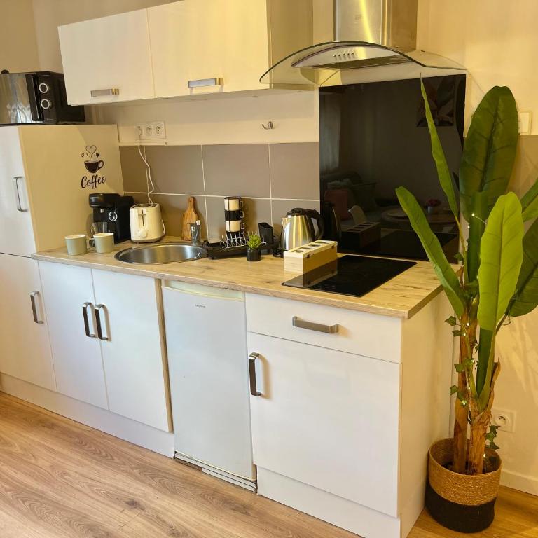 Charmant studio, coeur de la ville - Studio - 7