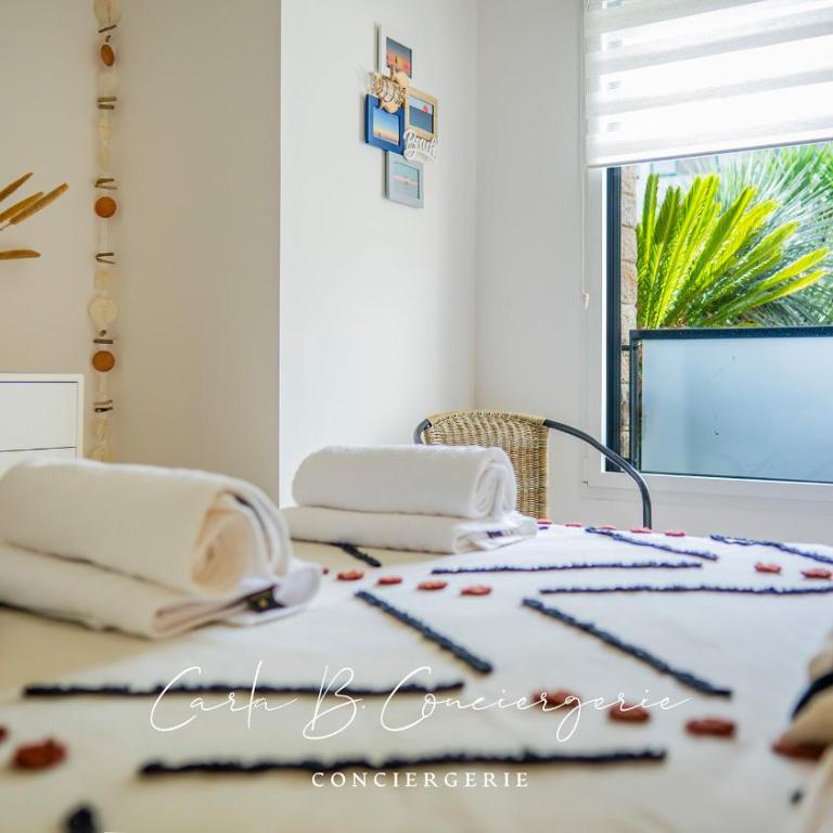 ECHAPPE ZEN Cozy secure apartment Sea and city Concarneau - Appartement 1 Chambre - 6