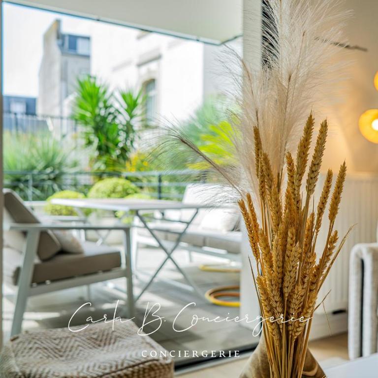 ECHAPPE ZEN Cozy secure apartment Sea and city Concarneau - Appartement 1 Chambre - 10