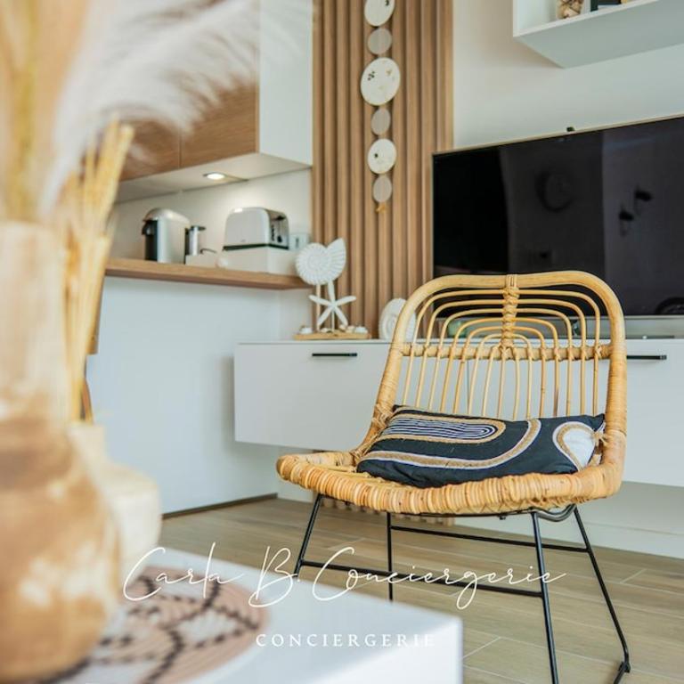ECHAPPE ZEN Cozy secure apartment Sea and city Concarneau - Appartement 1 Chambre - 14