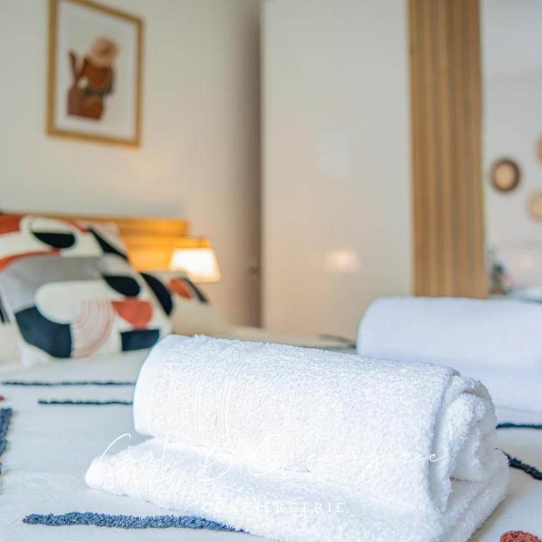 ECHAPPE ZEN Cozy secure apartment Sea and city Concarneau - Appartement 1 Chambre - 19