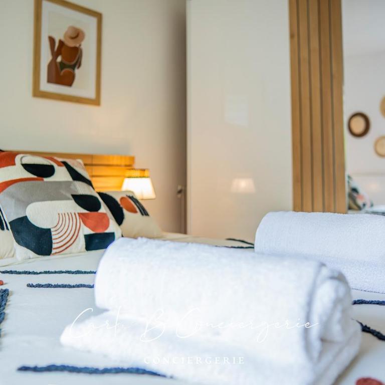 ECHAPPE ZEN Cozy secure apartment Sea and city Concarneau - Appartement 1 Chambre - 38