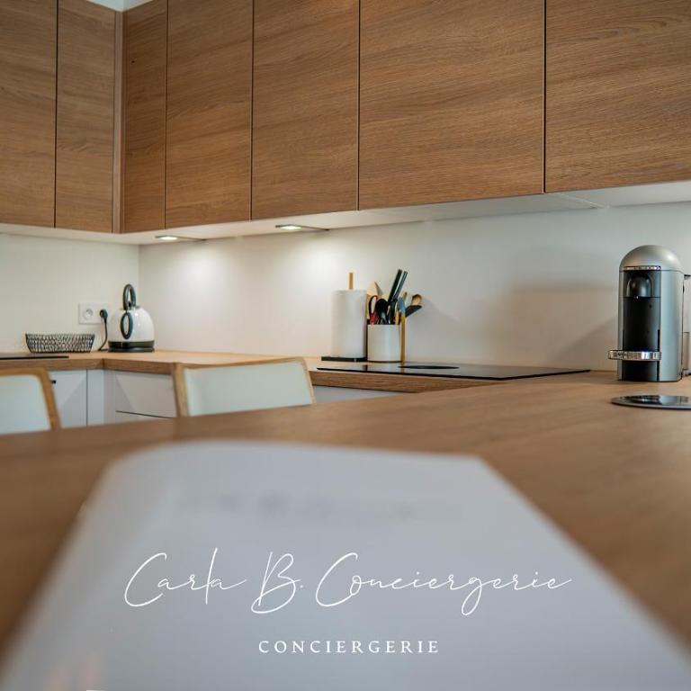 ECHAPPE ZEN Cozy secure apartment Sea and city Concarneau - Appartement 1 Chambre - 46