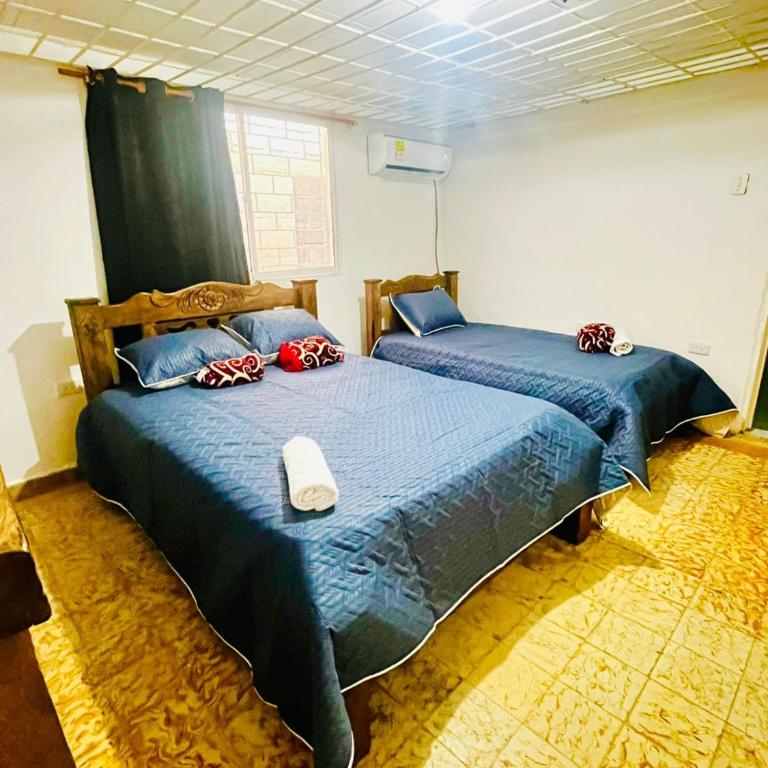 Liliana - Casa de 2 dormitorios - 5