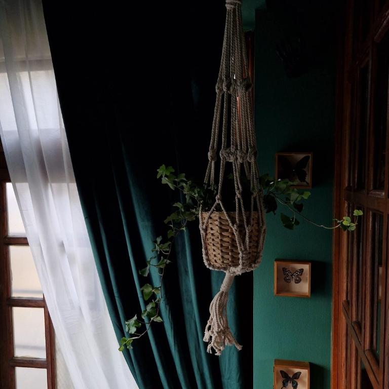 Gallery House - One-Bedroom Apartment - 4