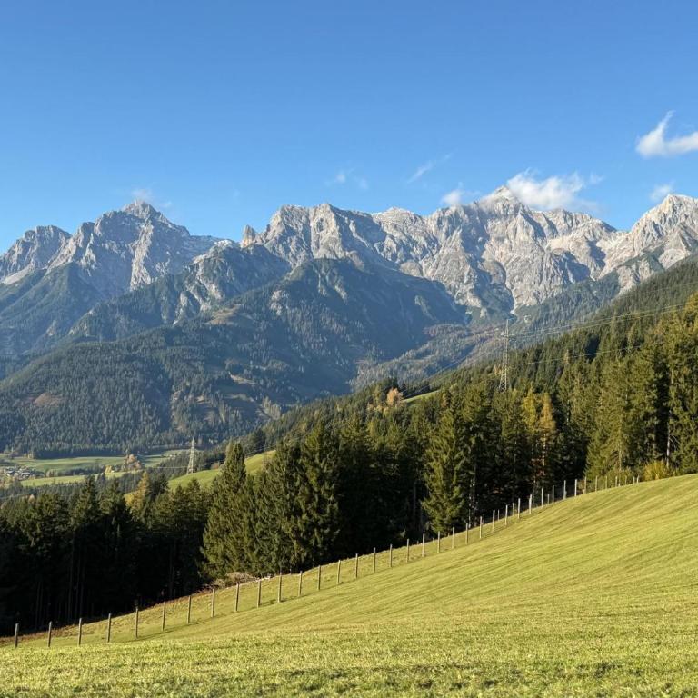 Chalet Pallegg - Haus mit 3 Schlafzimmern - 16