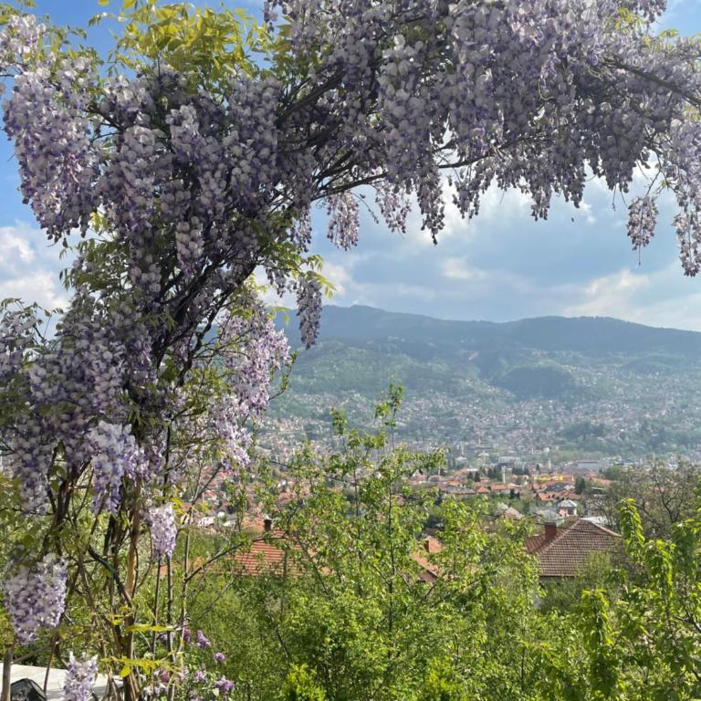 Sarajevo View 180 - Apartman sa Terasom - 9