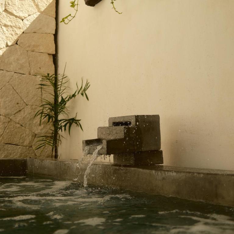 Downtown Penthouse with Private Pool, Rooftop Pool and Gym, short distance from Beaches, Restaurants & Nightlife - Apartamento de 2 dormitorios - 78