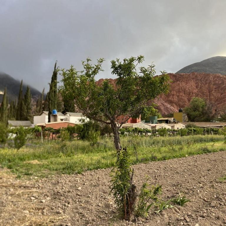 Muxsa - Casa con vista a los Colorados - Apartamento de 1 dormitorio - 16