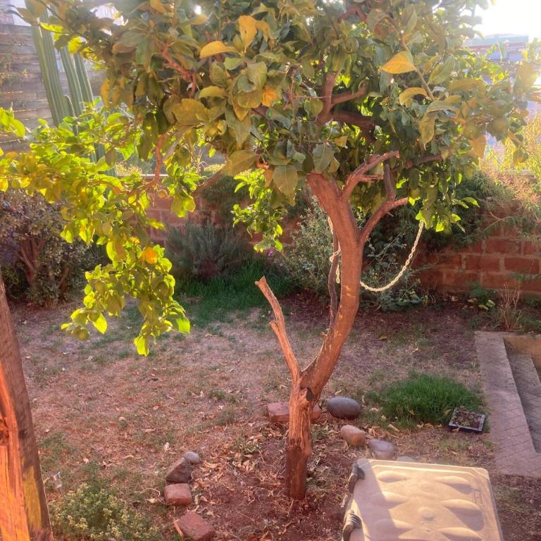 Bello Barro - One-Bedroom House - 10