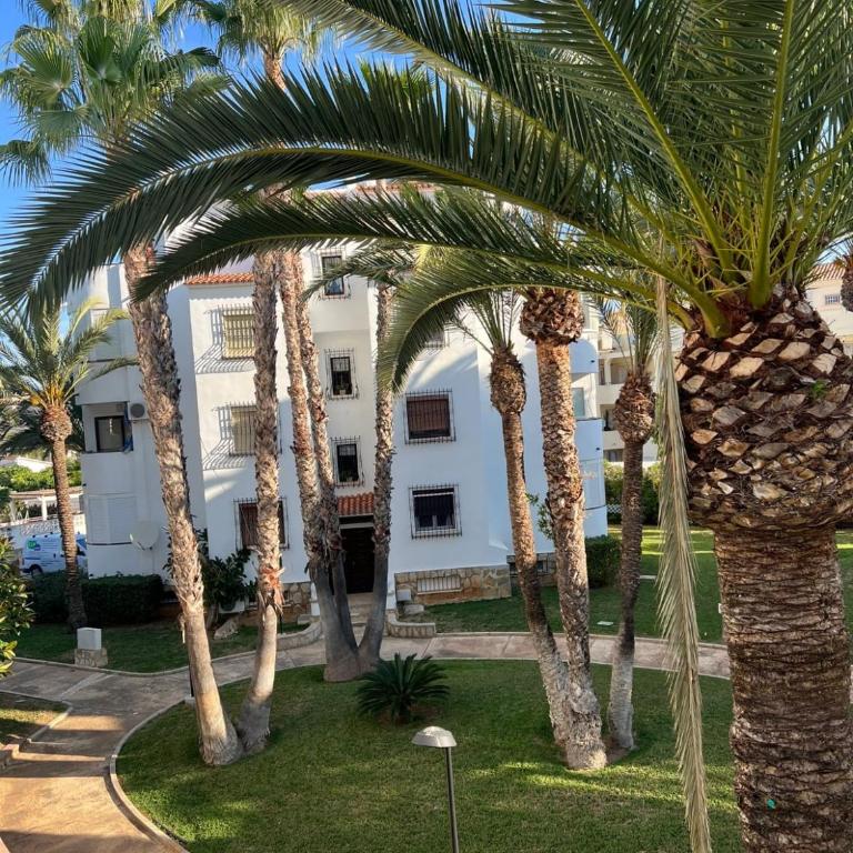 Sofia El Palmar Apartmán - Apartamento de 1 dormitorio - 8