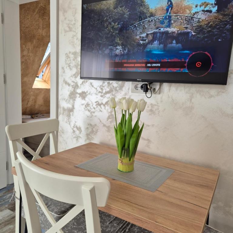 Apartman Zlatni breg Divčibare - Apartman sa 1 Spavaćom Sobom - 21