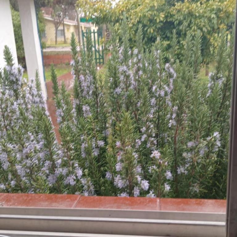 Casa Mitaluya - Three-Bedroom House - 11