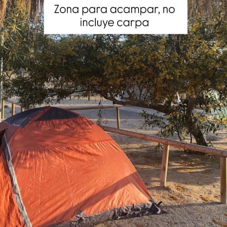 Camping Corfo - Tent - 6