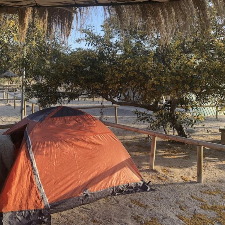 Camping Corfo - Tent - 1