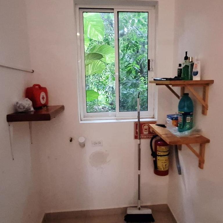 MINI PINI BIRD WATCHING AND CENOTE Loft - Villa de 1 dormitorio - 21