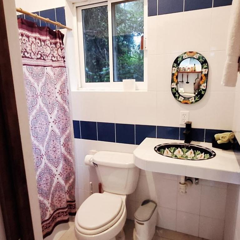 MINI PINI BIRD WATCHING AND CENOTE Loft - Villa de 1 dormitorio - 22