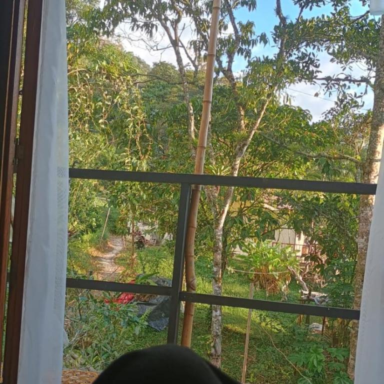 Cabaña en el Campo - Chalet - 7