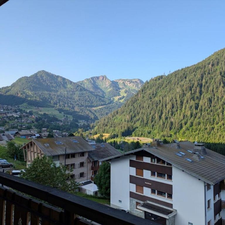 Appartement 8 pièces, 15 pers, Châtel, avec balcon - FR-1-676-234 - Appartement - 3
