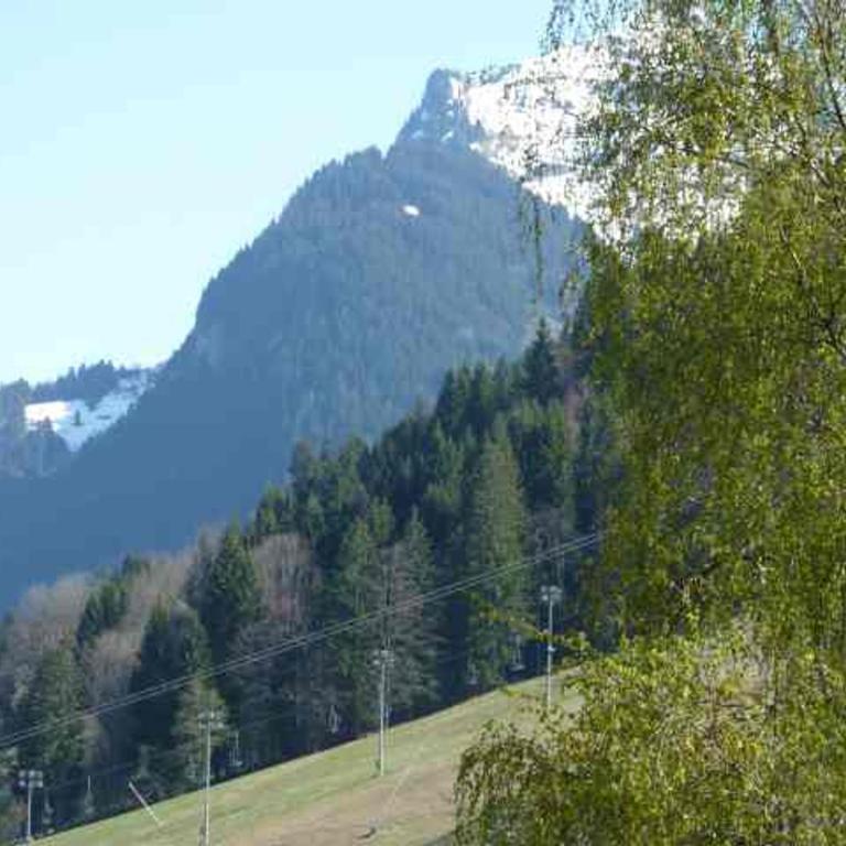 Charmant 3 pièces proche centre Morzine avec vue - FR-1-524-142 - Apartment - 17