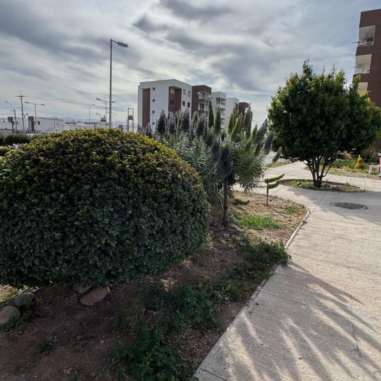 Acogedor y amplio, cercano al Hospital de Ovalle - One-Bedroom Apartment - 25