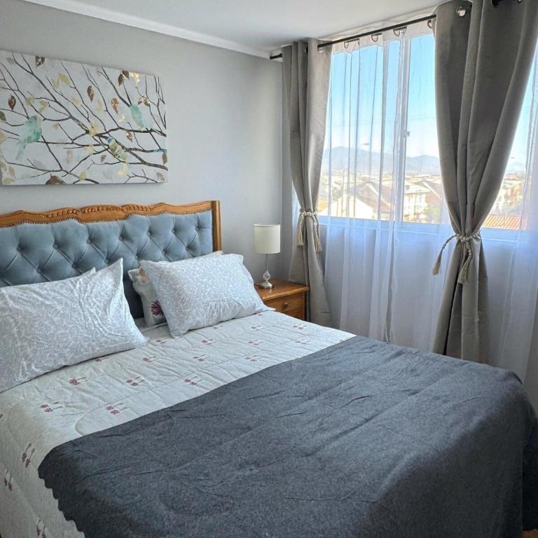 Acogedor y amplio, cercano al Hospital de Ovalle - One-Bedroom Apartment - 15