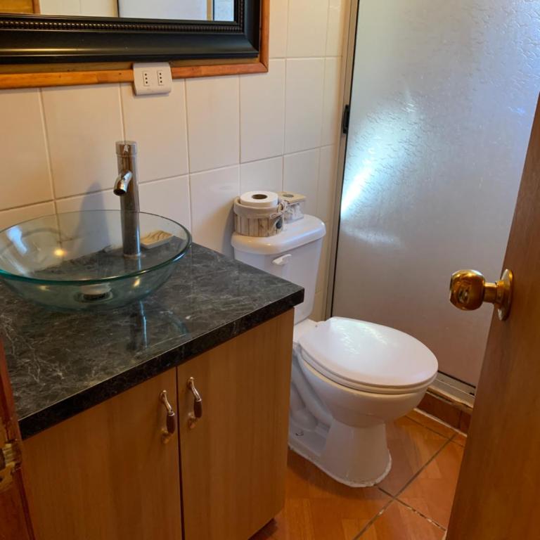 Cabaña Casa Victoria con Bosque,Río & Starlink Internet - Two-Bedroom House - 19