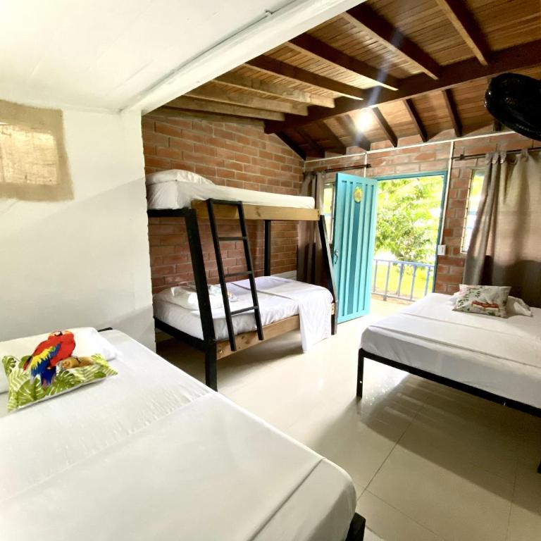 Eco Hotel El Acuario - Habitación Familiar - 1