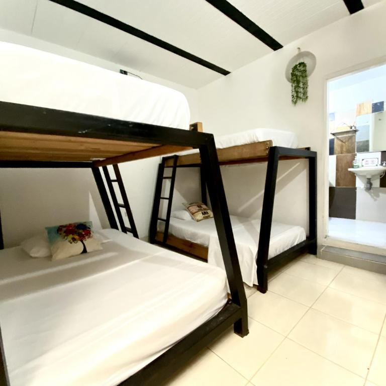 Eco Hotel El Acuario - Habitación Familiar - 3