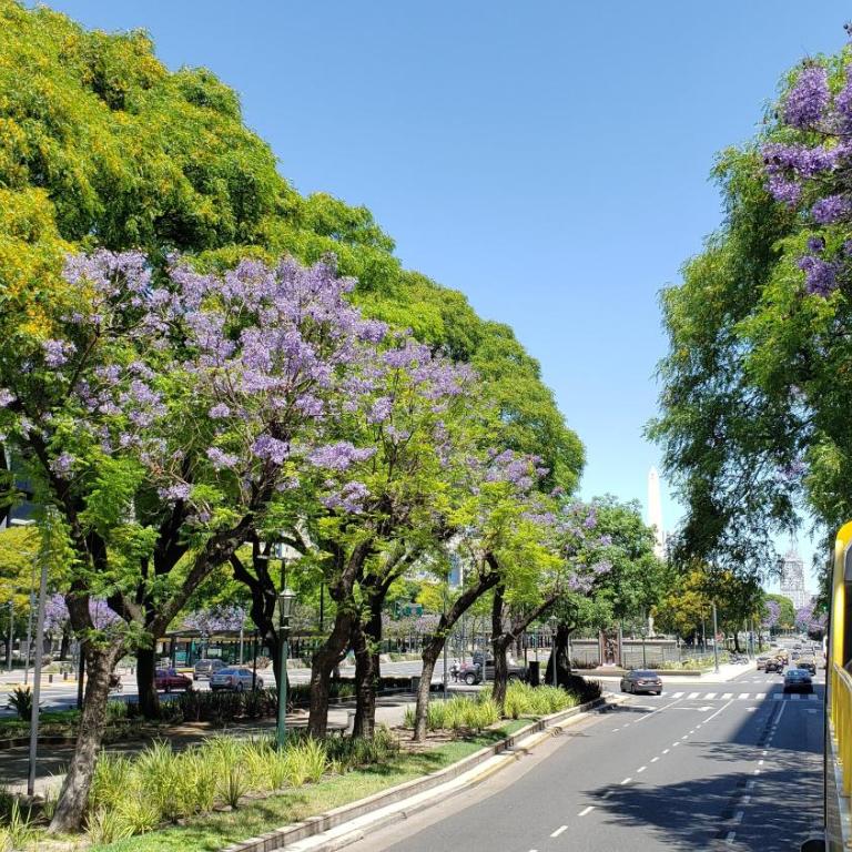 Alma Obelisco - Departamento con balcón - Vista Obelisco - Centro - Estudio con balcón - 57
