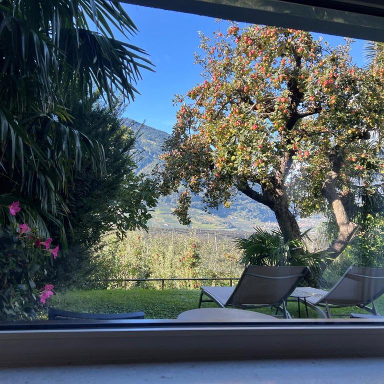 Garden Apartment Villa Corazza - One-Bedroom Apartment - 2