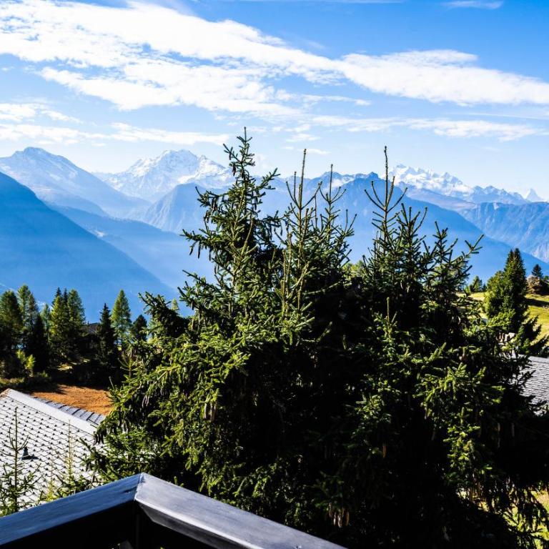 Chalet Dorle, Riederalp Golmenegg - Apartment - 8