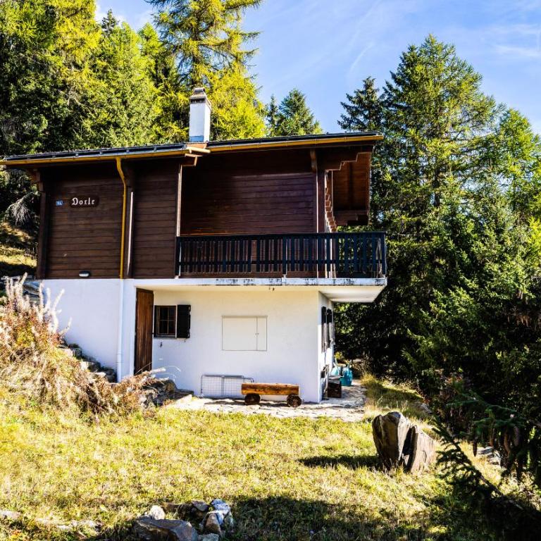 Chalet Dorle, Riederalp Golmenegg - Apartment - 15