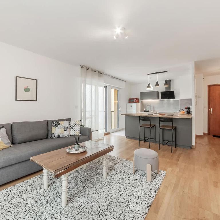 Les Deux Rives - Balcony Parking Elevator and Close to the City Center - Apartment - 1