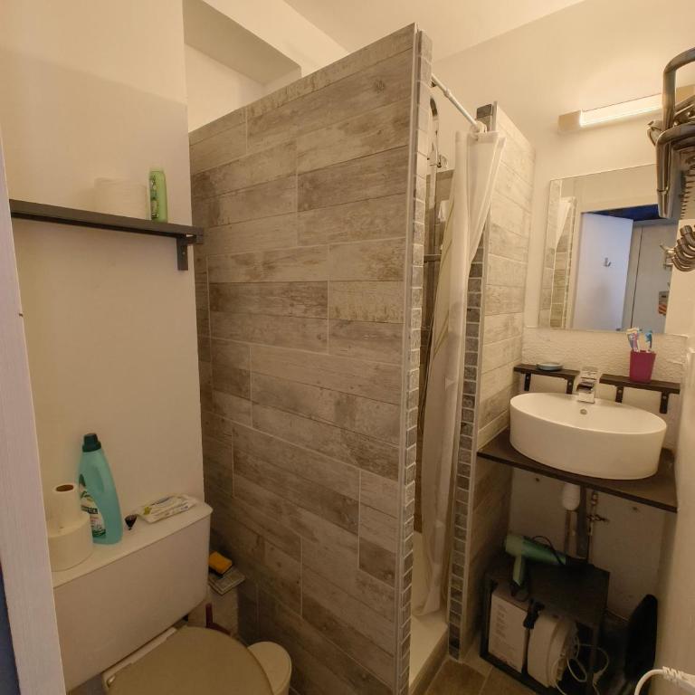 Joli Studio Front de Neige au Vermeil - Apartment mit 1 Schlafzimmer - 26