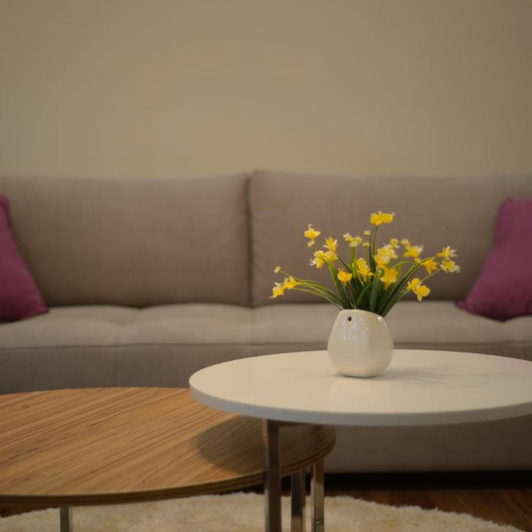Tuzlaks appartment - Deluks Apartman - 36