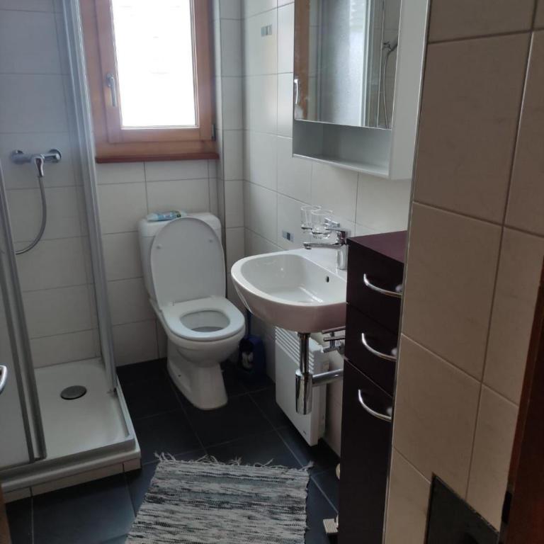 Chalet Lueg uf Belalp - Apartment - 1