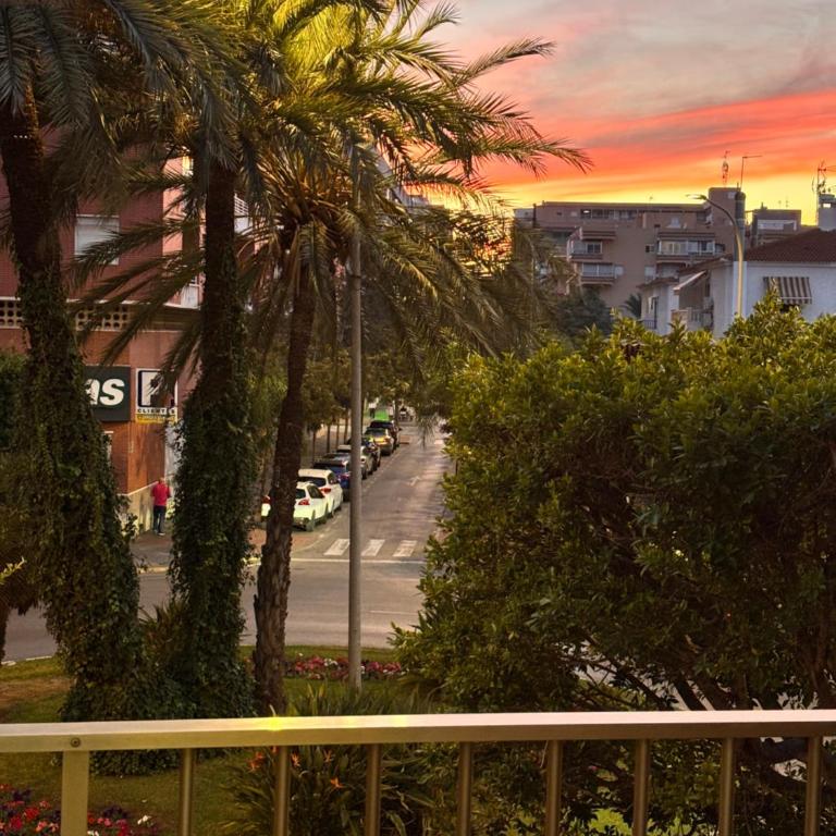 Palm tree view - Apartamento de 2 dormitorios - 8